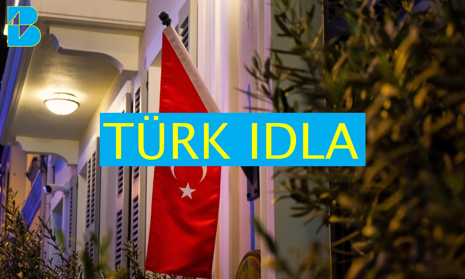 Türk Idla